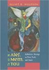 Book cover for Alef, Mem, Tau: Kabbalistic Musings on Time, Truth, and Death