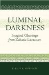 Book cover for Luminal Darkness: Imaginal Gleanings from Zoharic Literature