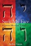 Book cover for Seek My Face: A Jewish Mystical Theology